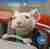 Stuart M