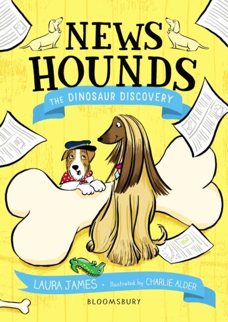The dinosaur discovery