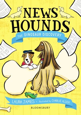 The dinosaur discovery