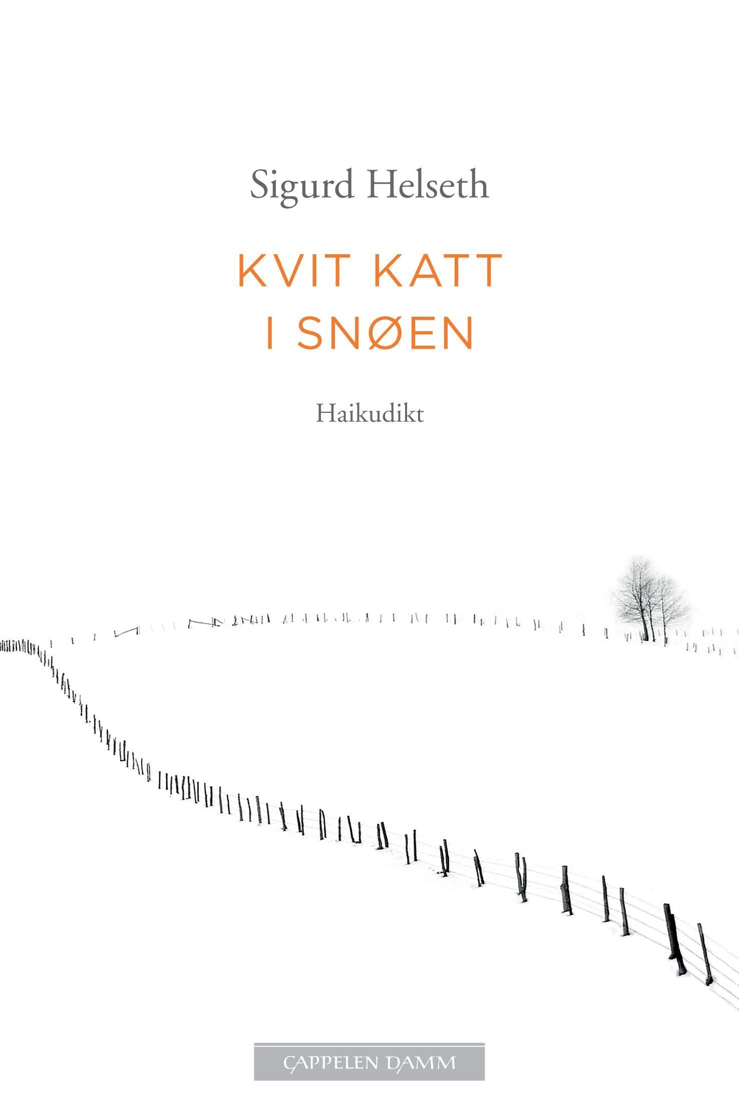 Kvit katt i snøen
