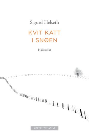Kvit katt i snøen