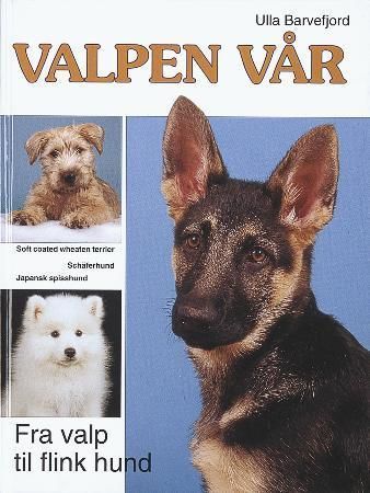 Våra valpar