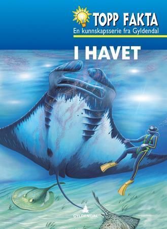 Under the sea