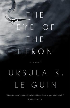 The eye of the heron