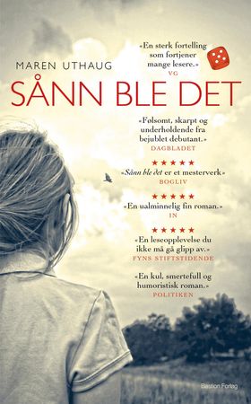 Sånn ble det : roman