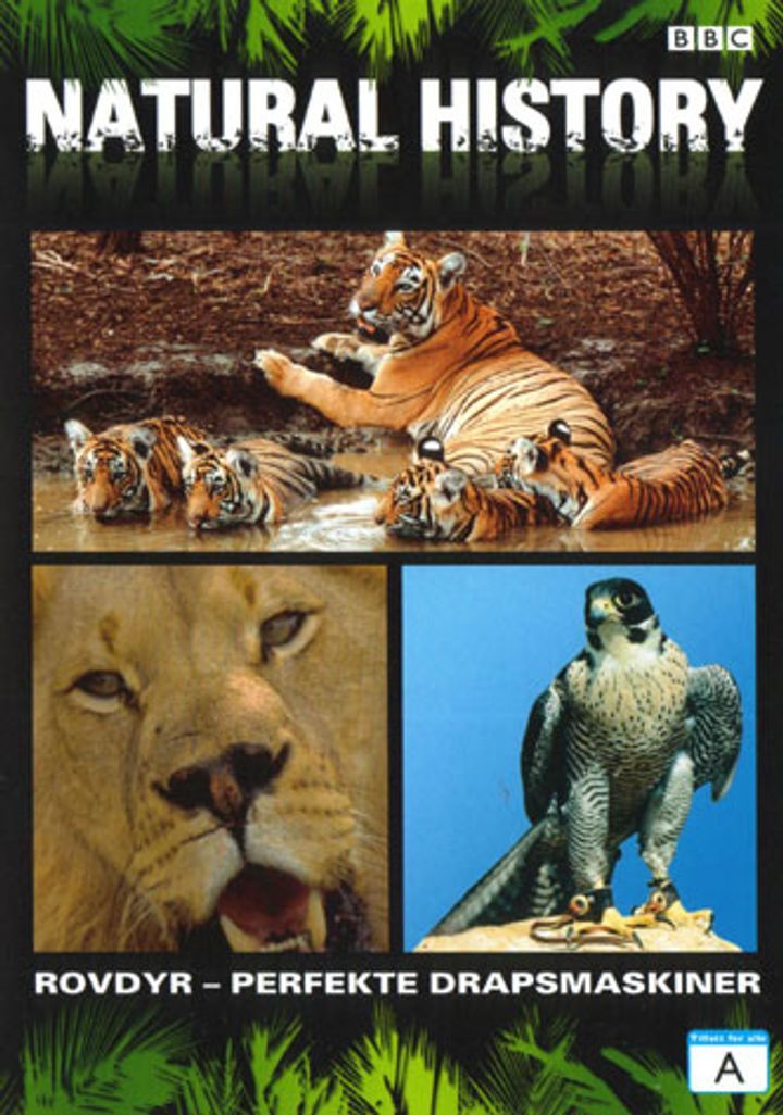 Predators