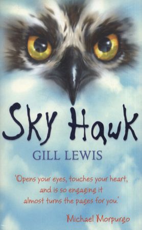 Sky hawk