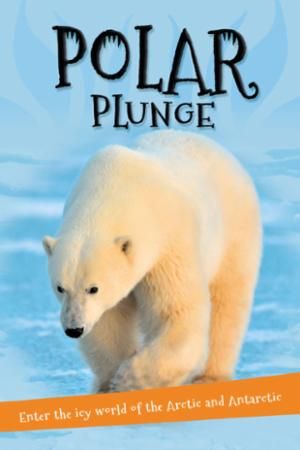 Polar plunge