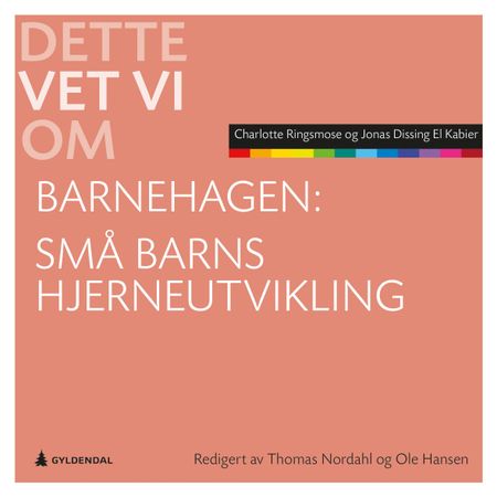 Det ved vi om små børns hjerneudvikling