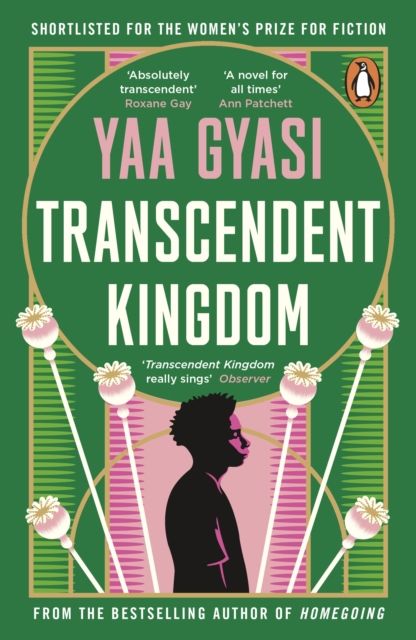 Transcendent kingdom