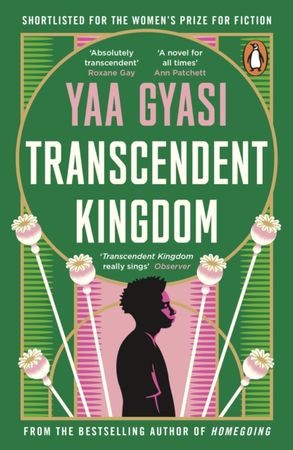 Transcendent kingdom
