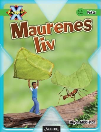 Ants at home