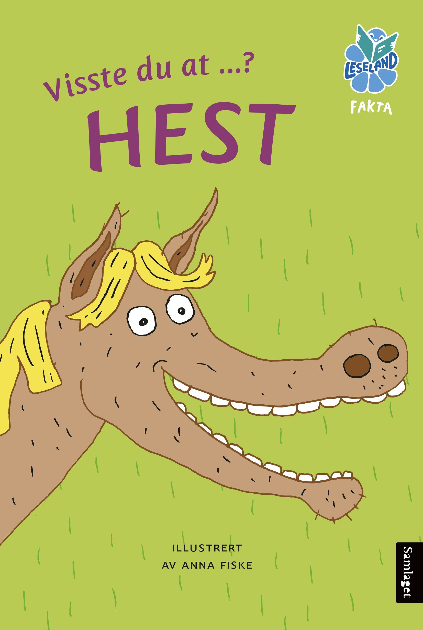 Visste du at...? Hest