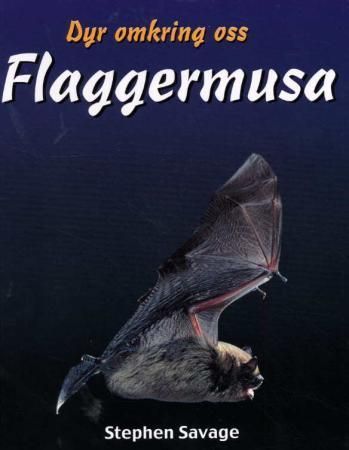 Bat