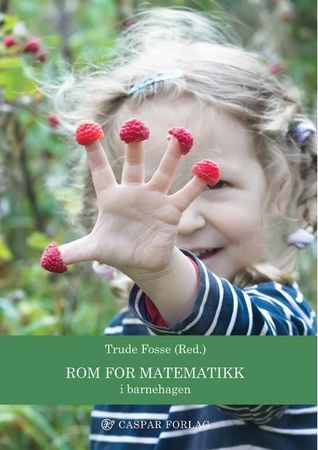 Rom for matematikk i barnehagen