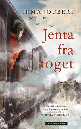 The girl from the train