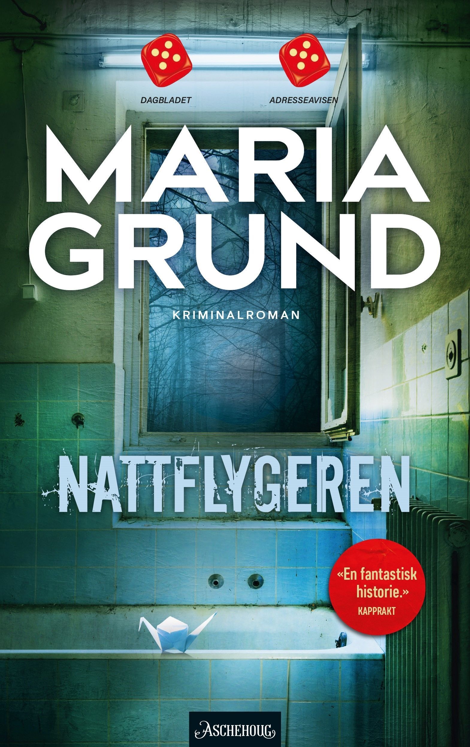 Nattflygaren