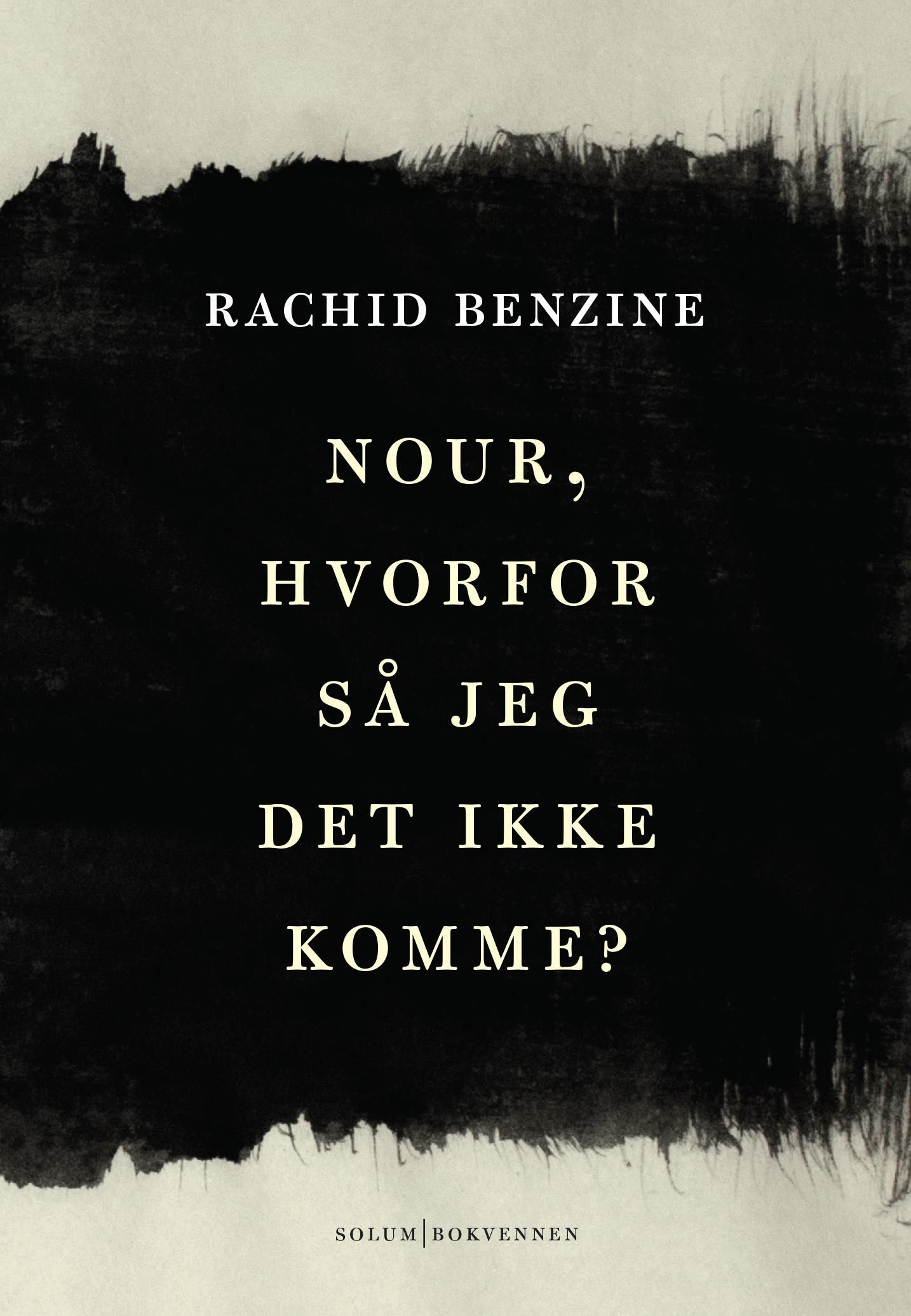Nour, pourquoi n'ai-je rien vu venir?