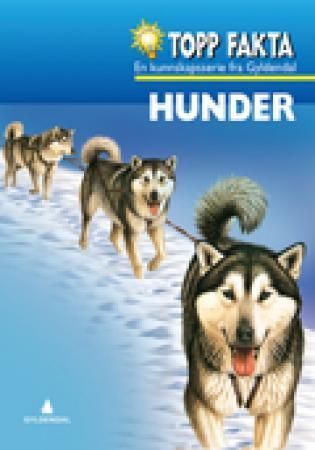 Dogs