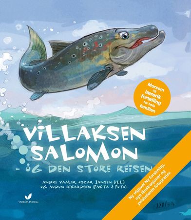 Villaksen Salomon
