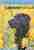 De Labrador retriever