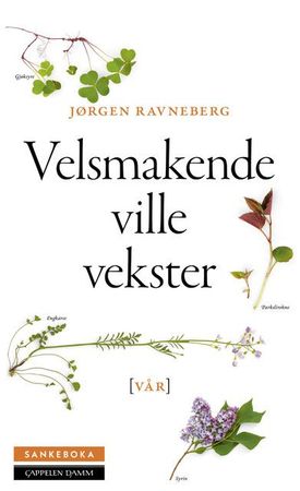 Sankeboka. Vår