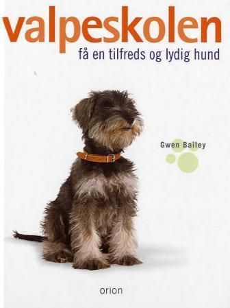 Puppy school