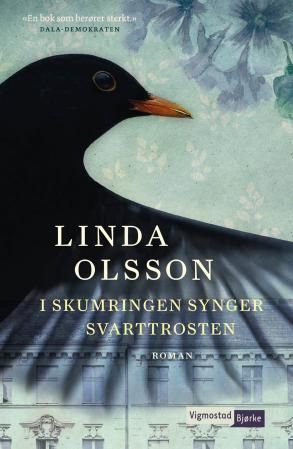 I skymningen sjunger koltrasten