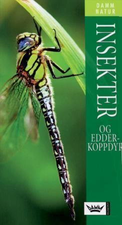 Insects and spiders