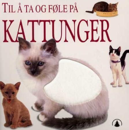 Kitten
