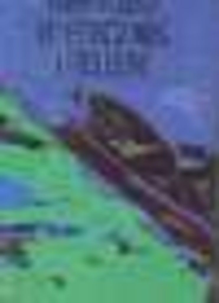 Watch for me on the mountain