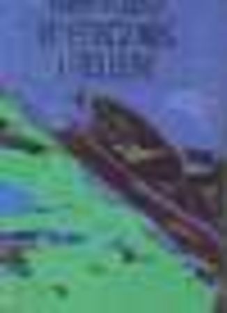 Watch for me on the mountain