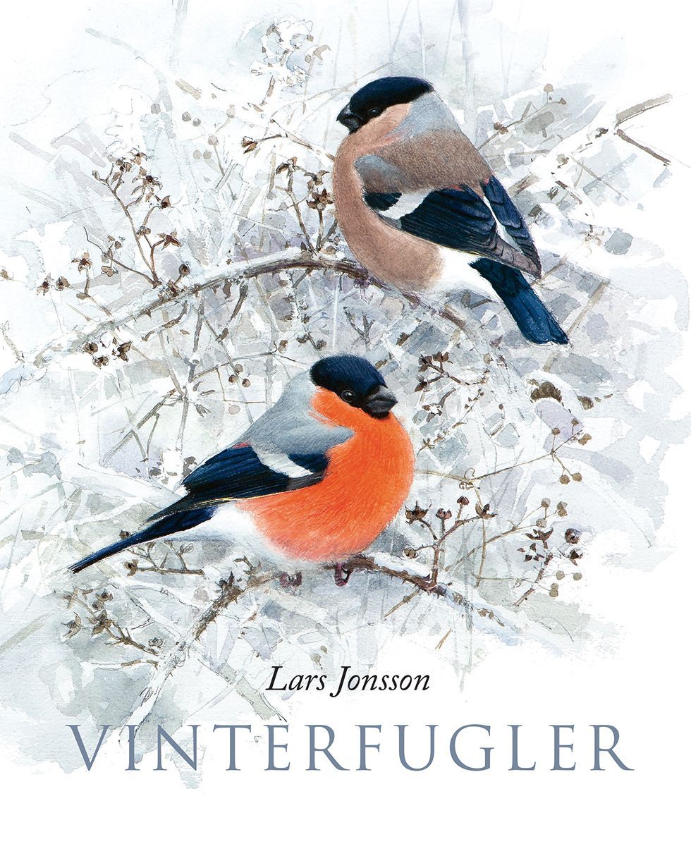 Vinterfåglar