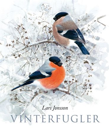 Vinterfåglar