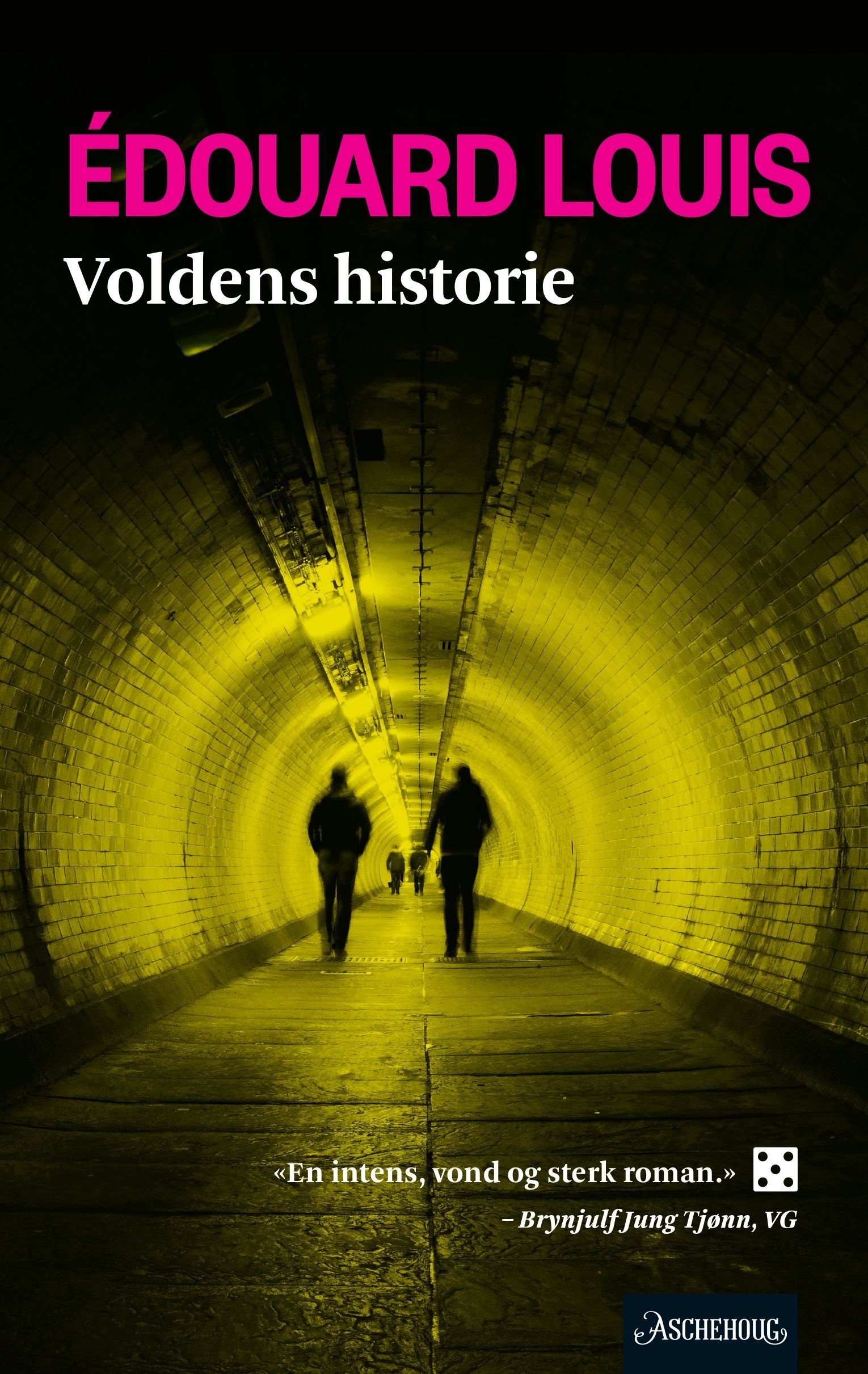 Histoire de la violence