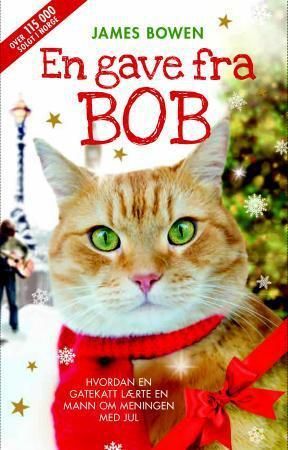 A gift from Bob
