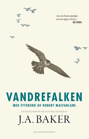 The peregrine