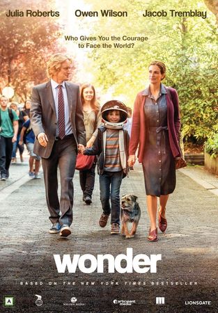 Wonder