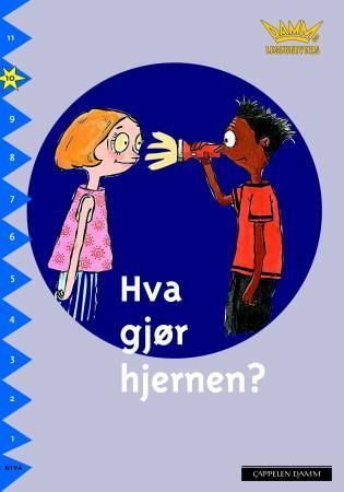 Vad gör hjärnan?