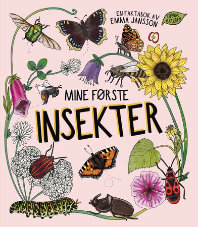 Mina första insekter