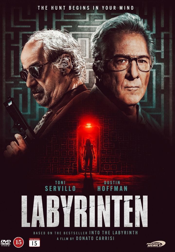L'uomo del labirinto