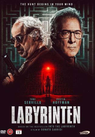 L'uomo del labirinto