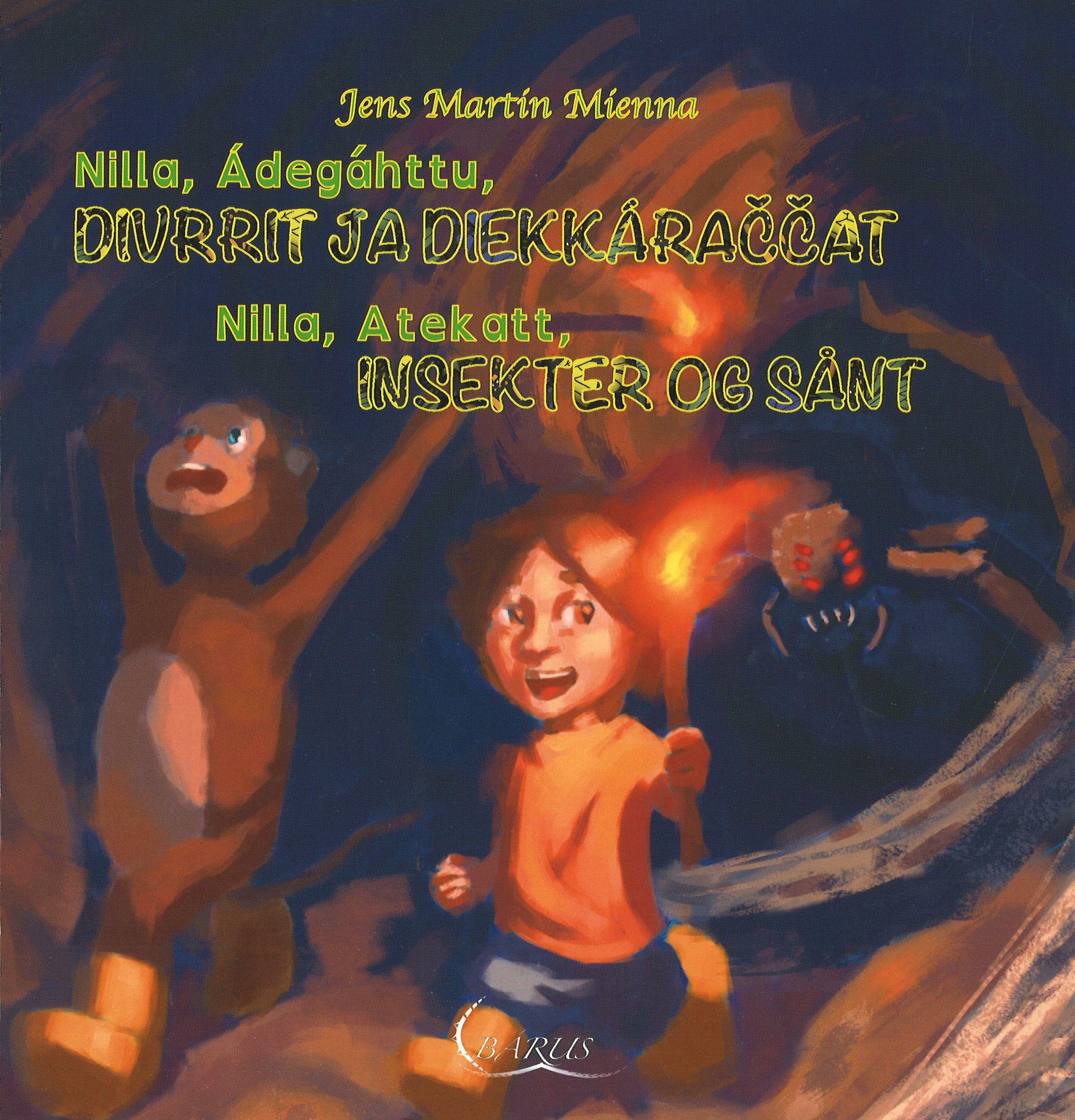Nilla, Ádegáhttu, divrrit ja diekkáraccat