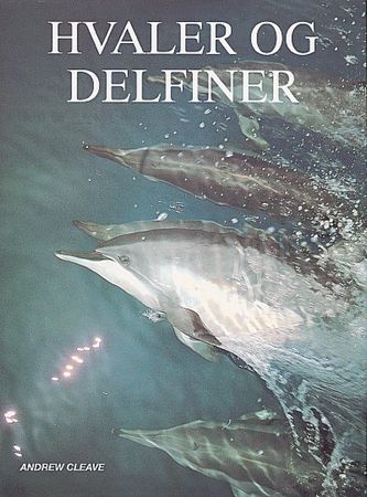 Whales & dolphines