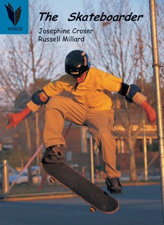 The skateboarder