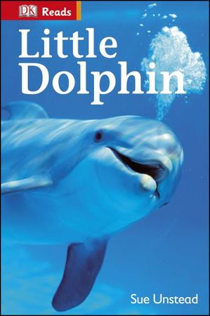 Little dolphin