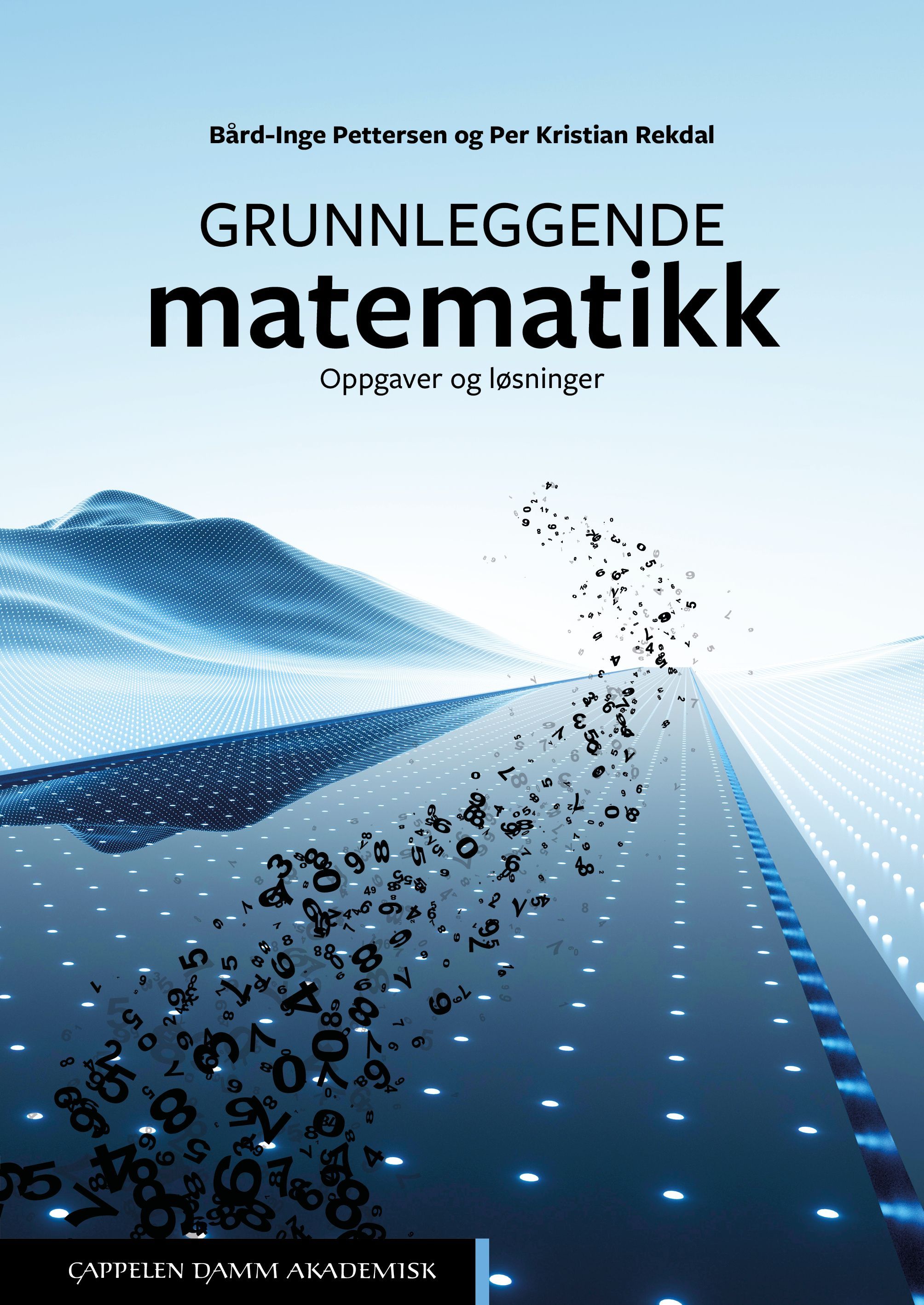Grunnleggende matematikk. Oppgaver og løsninger