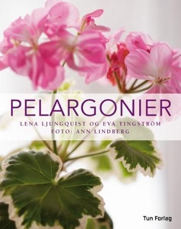 Pelargoner