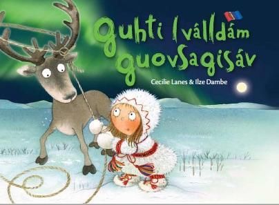 Jakten på nordlyset