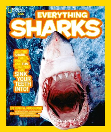 Everything sharks